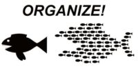 Organize